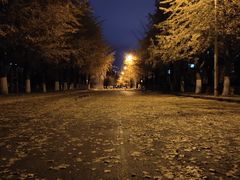 -辽宁大学(崇山校区)