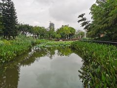 -映月湖公园