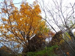 -香山公园