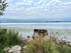 -西昌邛海湿地
