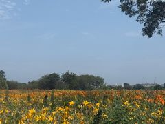 -汉长安城未央宫国家考古遗址公园