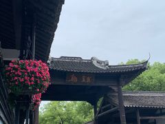-乌镇西栅景区