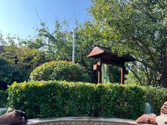 -思念果岭悦温泉