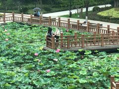 -海天湖公园