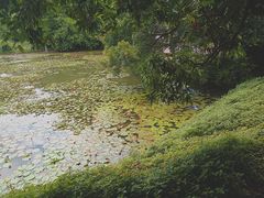 -四海公园(南山区)
