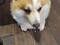 -肥朵食堂(带梦胡同店)