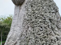 -烟台自然博物馆