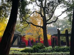 -成都武侯祠博物馆