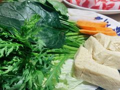 -东镇老火锅(长春路首店)