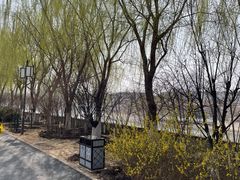 -桃花堤公园