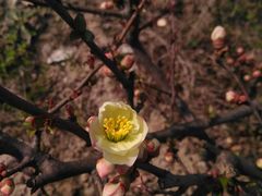 -公益图书馆(江南大学店)