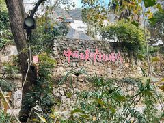-塔川景区