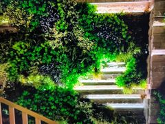 -北京威斯汀酒店游泳健身中心