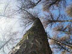 -硗碛藏寨·神木垒景区