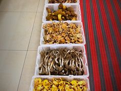 -双喜农庄·菌香园(安居家园店)