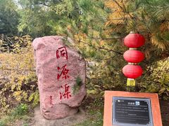 -大槐树寻根祭祖园