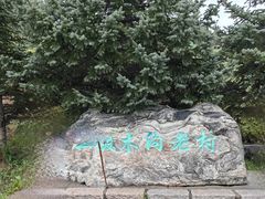 -灵山