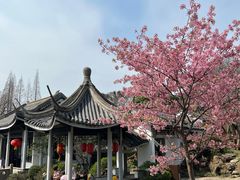 -无锡梅园公园