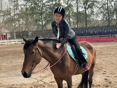 -北京群众马术培训基地