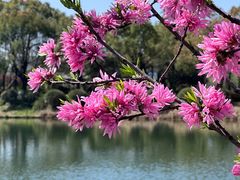 -金银湖国家城市湿地公园