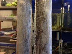 iphone_upload_pic-台州卡金海鲜楼(上南路店)