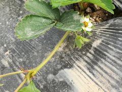 -润记农家菜