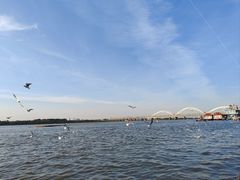 -人民防洪胜利纪念塔