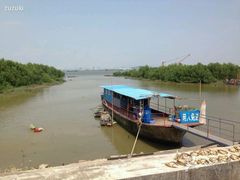 android_upload_pic-海鸥岛