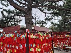 -香山公园