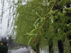 -汉长安城未央宫国家考古遗址公园