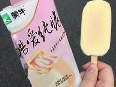 -上海财经大学(国定路校区)