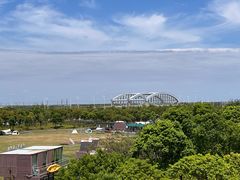 -春花秋色城市公园