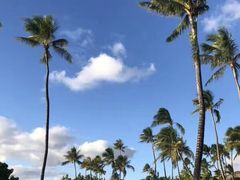 -夏威夷珍珠港