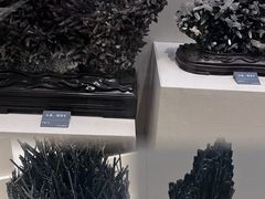 -安徽省地质博物馆