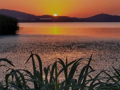 -长广溪湿地公园