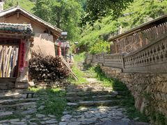 -芦芽山旅游度假区