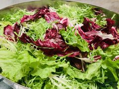 -北京园博大酒店