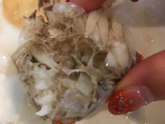 -富力希尔顿酒店·地阔自助餐厅