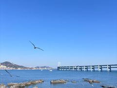 -黑石礁公园