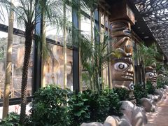 -杭州开元森泊度假乐园