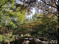 -秋霞圃