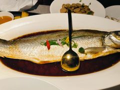 -醉庐·新上海菜(南京西路店)