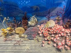 -国家自然博物馆