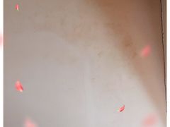 -道顺射箭·团建·骑射(张杨路店)