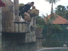 -新加坡水上探险乐园