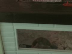 -雨林宠物医院 非犬猫异宠专科