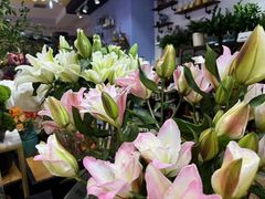 -花辰月夕花坊(北滨路店)