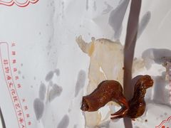 -鸽子侯·家宴·平价海鲜(市图书馆店)