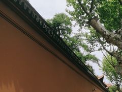 -苏州文庙(姑苏区)