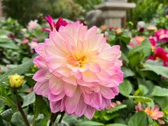 -崇圣寺三塔文化旅游区